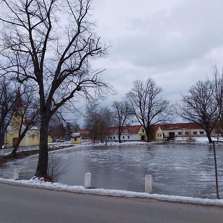 Ubytování U Dvořáků Veselí nad Lužnicí Exteriér fotografie